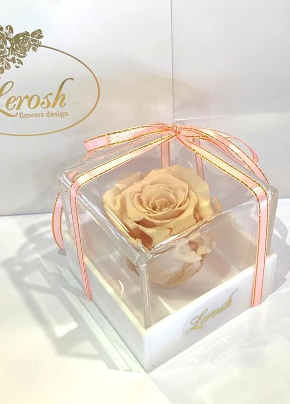 Кремовий стабілізований бутон троянди в подарунковій коробці - Classic LEROSH (278020042)