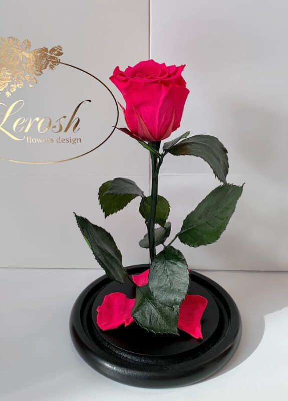 Малинова троянда в колбі - Classic 27 см LEROSH (278020035)
