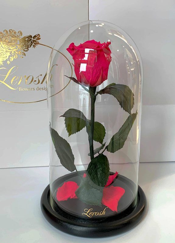 Малинова троянда в колбі - Classic 27 см LEROSH (278020035)