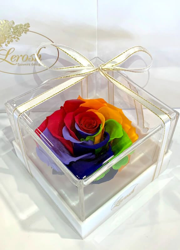 Яскраво-райдужний стабілізований бутон троянди в подарунковій коробці - Premium LEROSH (278019958)