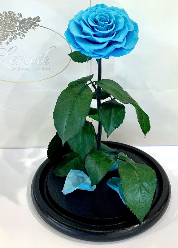Голубая роза в колбе - Lux 33 см LEROSH (278020053)