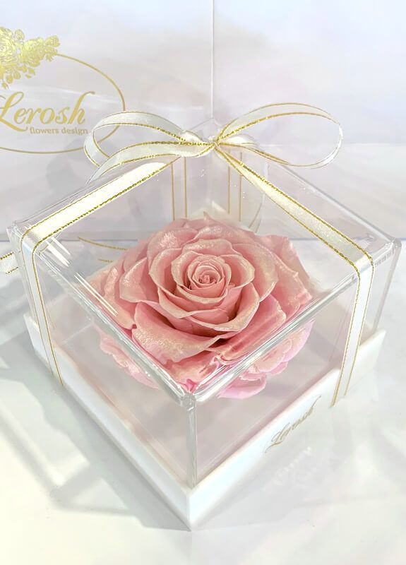 Рожевий Перловий стабілізований бутон троянди в подарунковій коробці - Premium LEROSH (278020067)