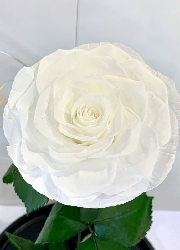 Белая роза в колбе - Lux 33 см LEROSH (278020043)