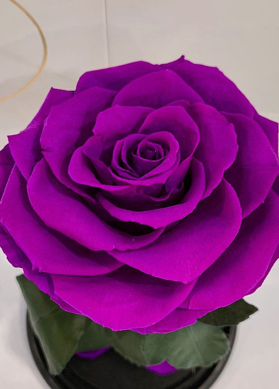 Фіолетова троянда в колбі - Premium 27 см LEROSH (278019963)