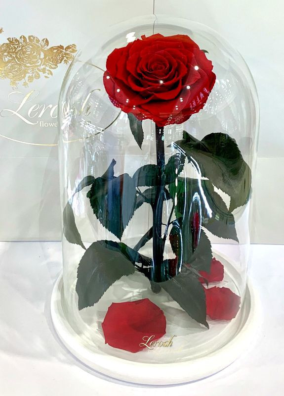 Червона троянда в колбі - Lux 33 см на білій підставці LEROSH (278019979)