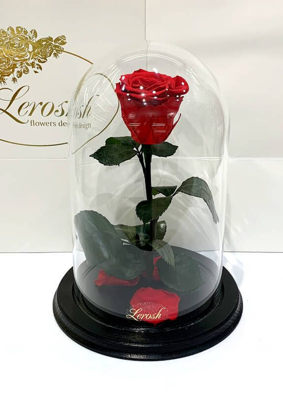 Червона троянда в колбі - NEW Classic 27 см LEROSH (278020025)