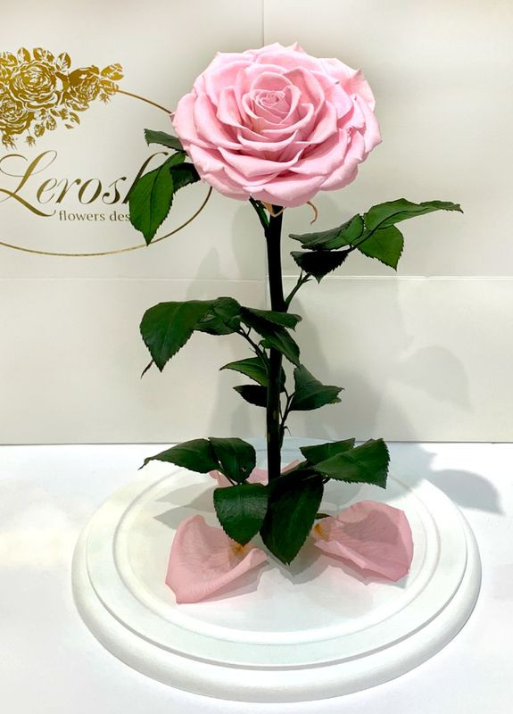 Рожева троянда в колбі - Lux 33 см на білій підставці LEROSH (278019954)