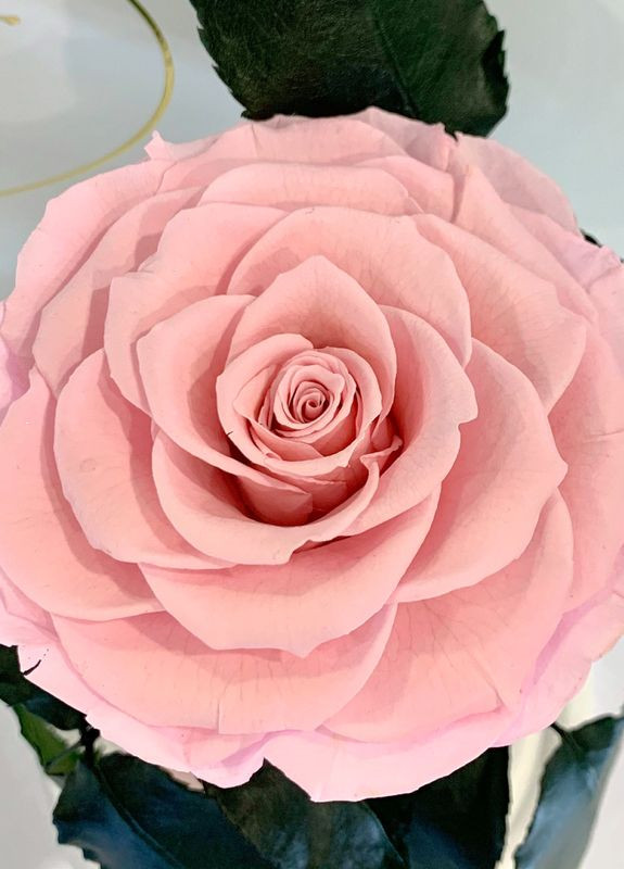 Рожева троянда в колбі - Premium 27 см LEROSH (278020032)