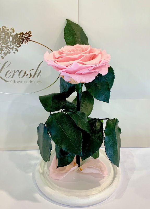 Рожева троянда в колбі - Premium 27 см LEROSH (278020032)