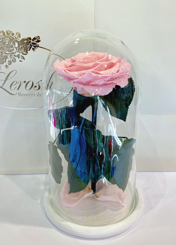 Рожева троянда в колбі - Premium 27 см LEROSH (278020032)