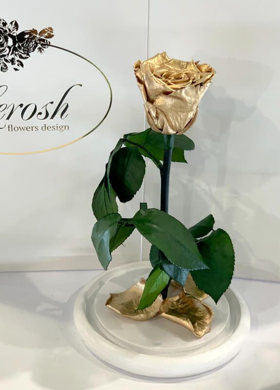 Золота троянда в колбі - Classic 27 см білій підставці LEROSH (278020061)