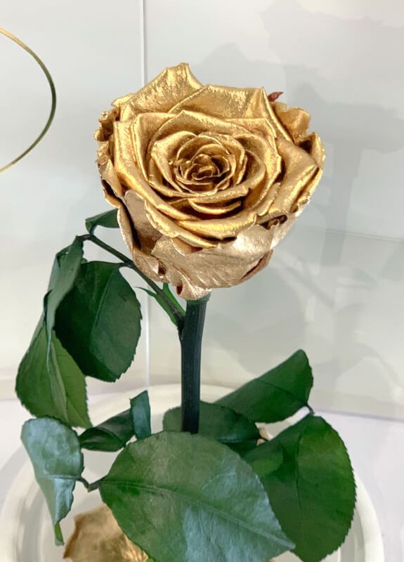 Золотая роза в колбе - Classic 27 см на белой подставке LEROSH (278020061)