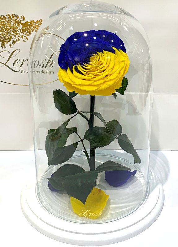 Троянда в колбі "Прапор України" - Lux 33 см на білій підставці LEROSH (278019978)