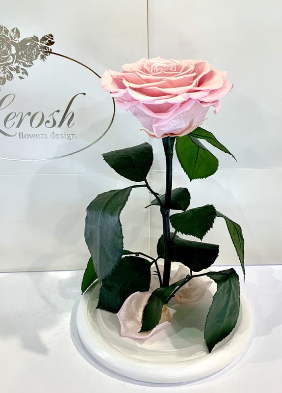Рожева Перлова троянда в колбі - Premium 27 см LEROSH (278020050)