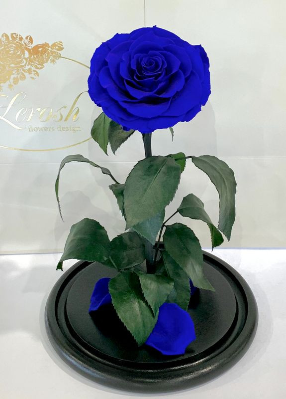 Синяя роза в колбе - Lux 33 см LEROSH (278019973)
