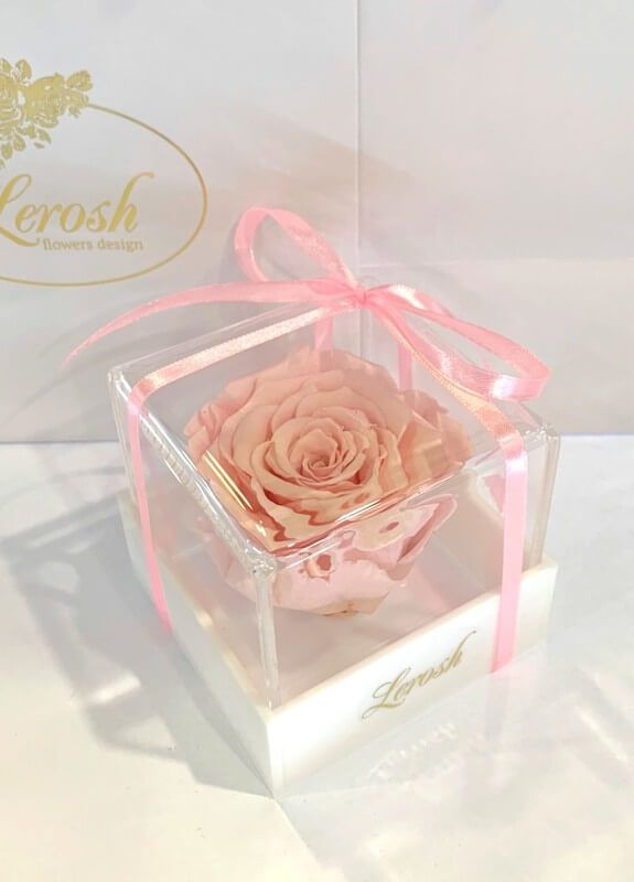 Рожевий стабілізований бутон троянди в подарунковій коробці - Classic LEROSH (278020047)