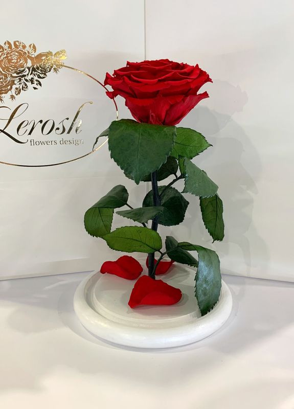 Червона троянда в колбі - Premium 27 см на білій підставці LEROSH (278020055)
