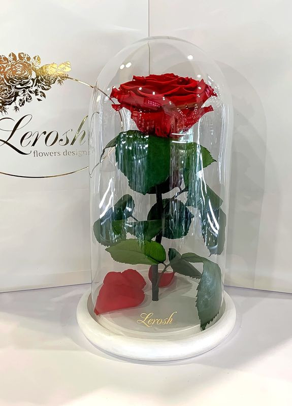 Червона троянда в колбі - Premium 27 см на білій підставці LEROSH (278020055)