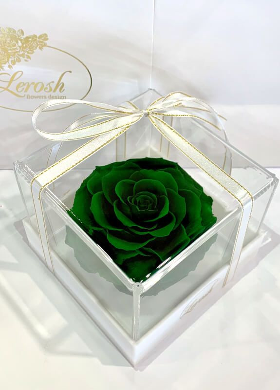 Зелений стабілізований бутон троянди в подарунковій коробці - Premium LEROSH (278020049)