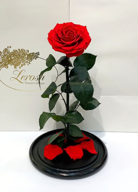 Червона троянда в колбі - Elite 43 см LEROSH (278019993)