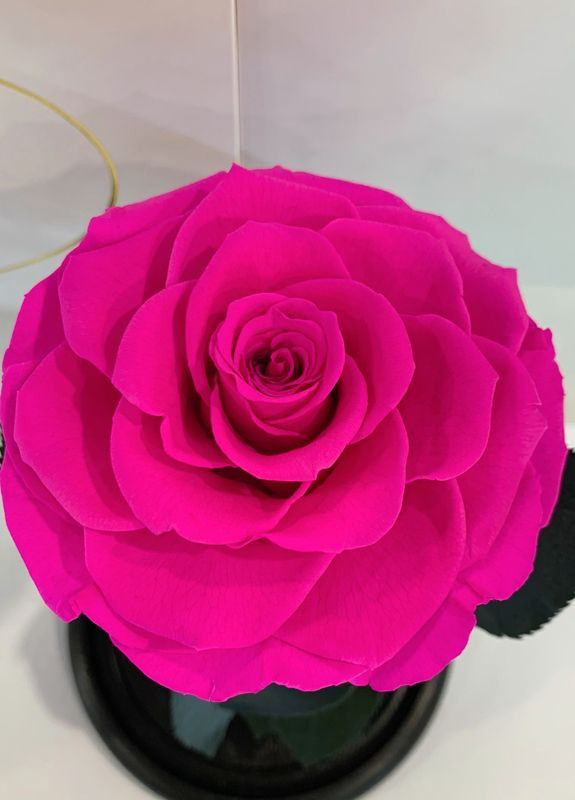 Яскраво-рожева Фуксія троянда в колбі - Premium 27 см LEROSH (278020063)