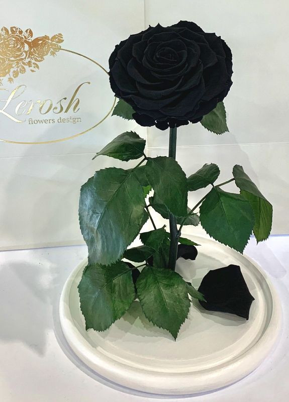 Чорна троянда в колбі - Lux 33 см LEROSH (278019989)