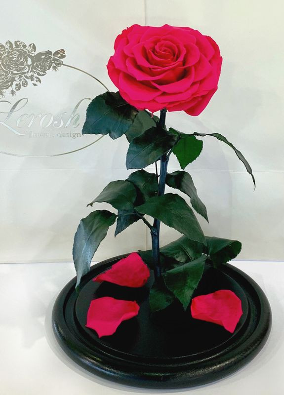 Малиновая роза в колбе - Lux 33 см LEROSH (278020018)