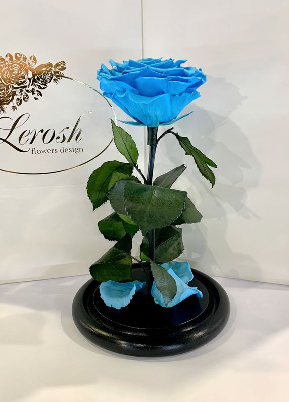 Блакитна троянда в колбі - Premium 27 см LEROSH (278019981)