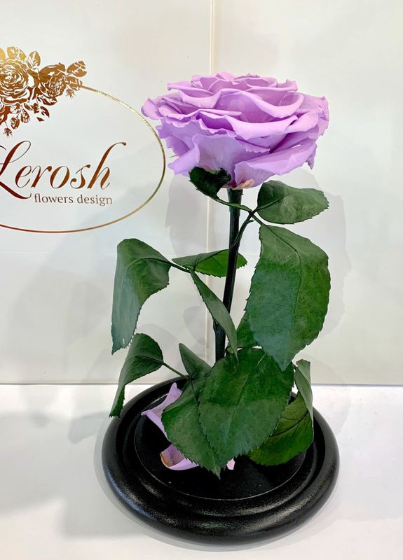 Лиловая роза в колбе - Premium 27 см LEROSH (278020003)