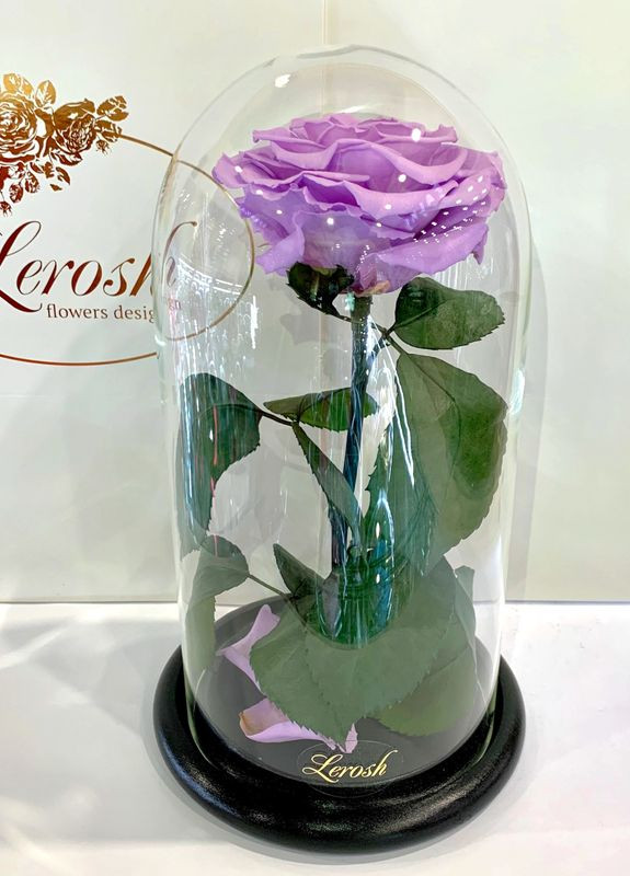 Лиловая роза в колбе - Premium 27 см LEROSH (278020003)