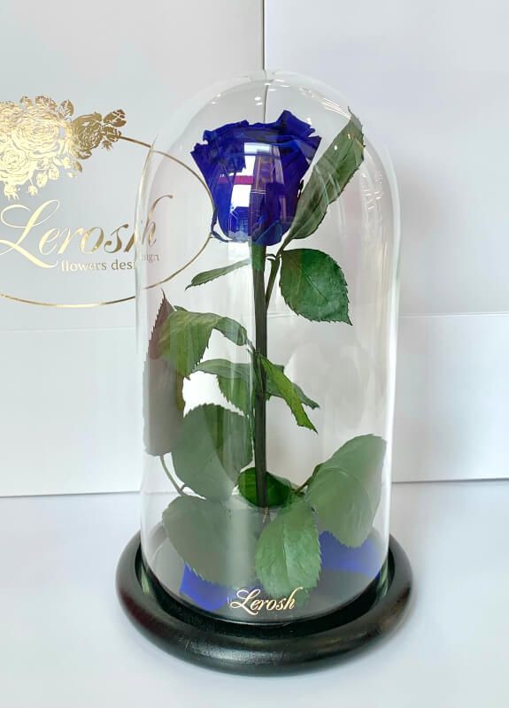 Синя троянда в колбі - Classic 27 см LEROSH (278020052)