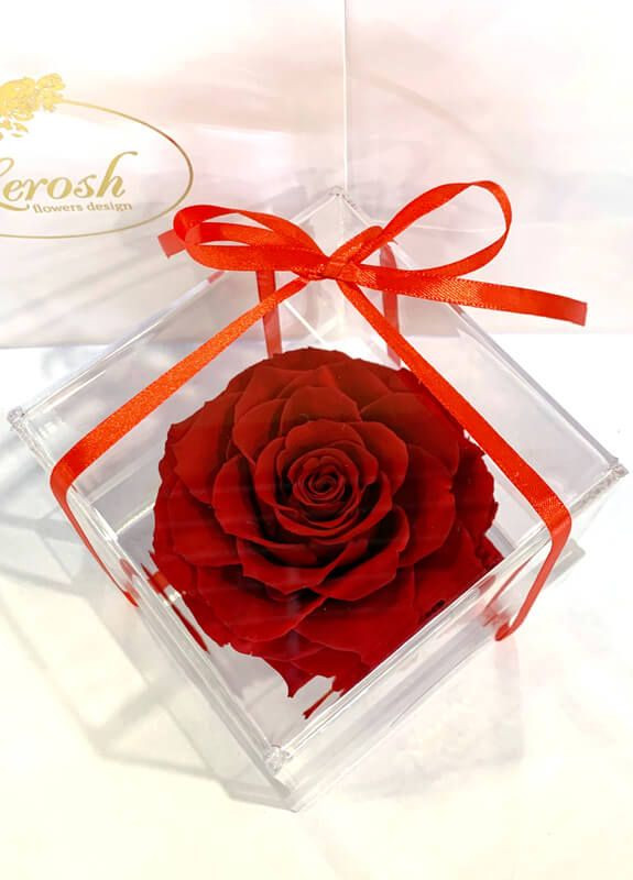 Красный стабилизированный бутон розы в подарочной коробке - Premium LEROSH (278019949)