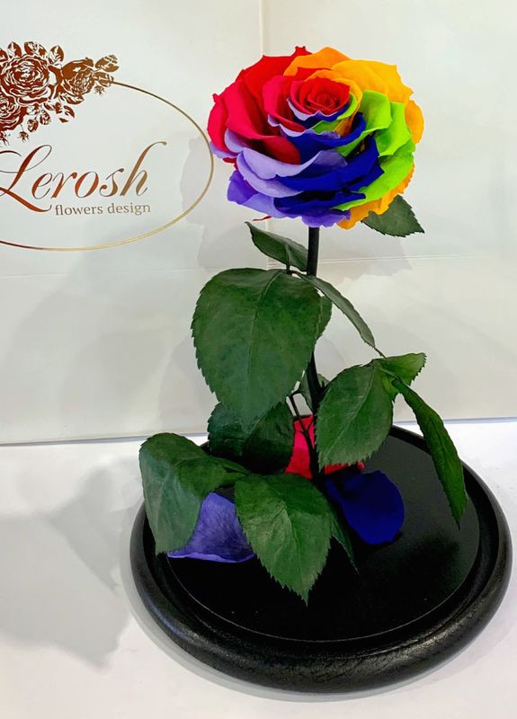 Яскрава Різнокольорова троянда в колбі - Lux 33 см LEROSH (278019953)