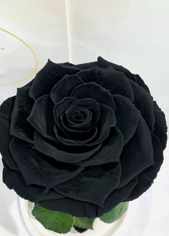 Чорна троянда в колбі - Premium 27 см LEROSH (278019962)