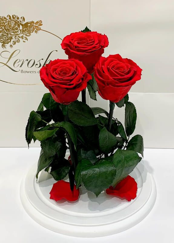 Букет три червоні троянди в колбі - Grand 33 см на білій підставці LEROSH (278020011)