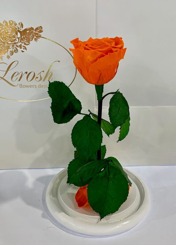 Оранжевая роза в колбе - Classic 27 см LEROSH (278020060)
