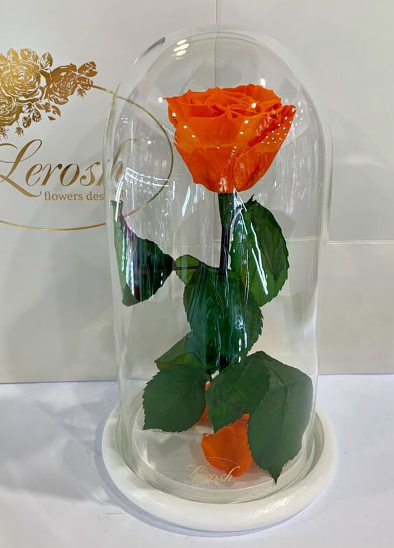 Помаранчева троянда в колбі - Classic 27 см LEROSH (278020060)