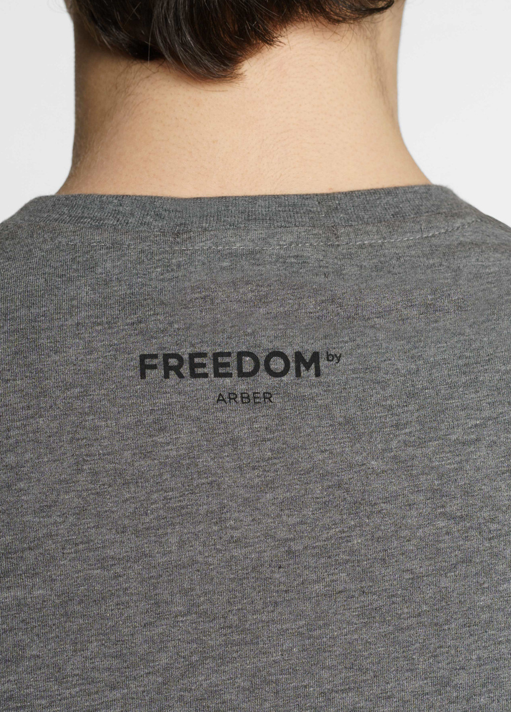 Сіра футболка чоловіча freedom сіра Arber T-SHIRT FF19