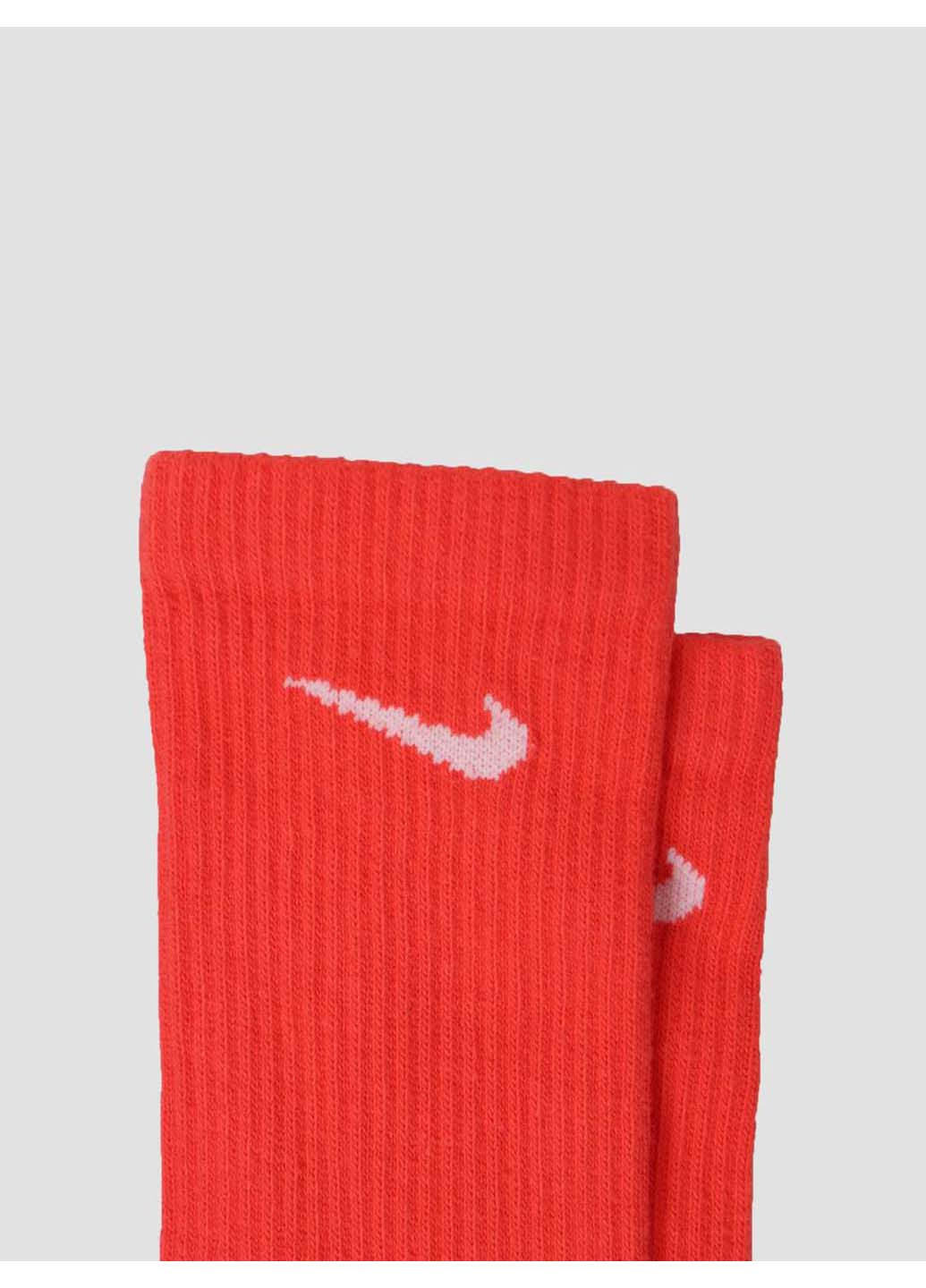 Шкарпетки Nike everyday plus ltwt crew 3-pack (256614906)
