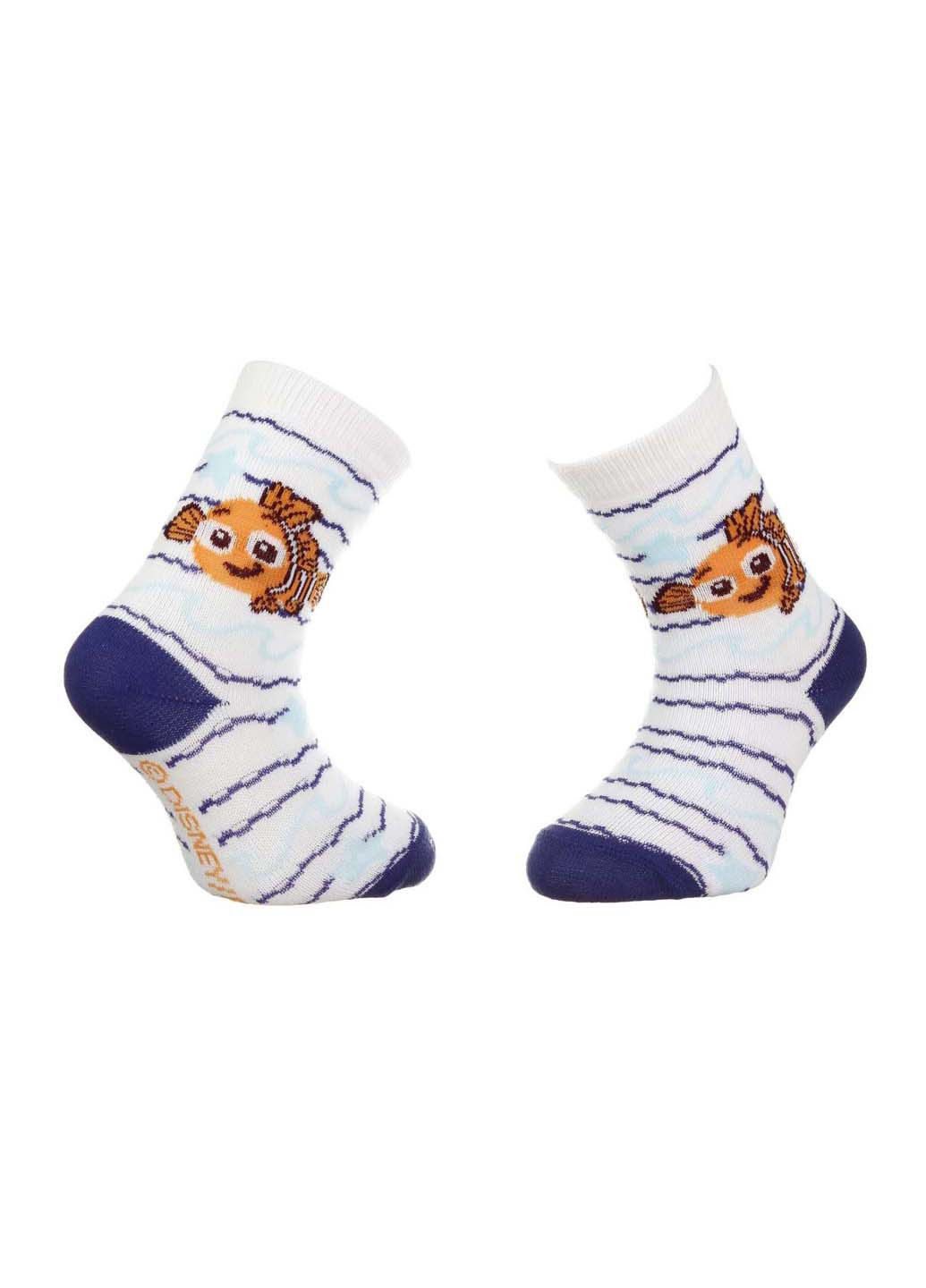 Шкарпетки Disney Nemo-Baby Boy Nemo Wave Starfish (256614921)