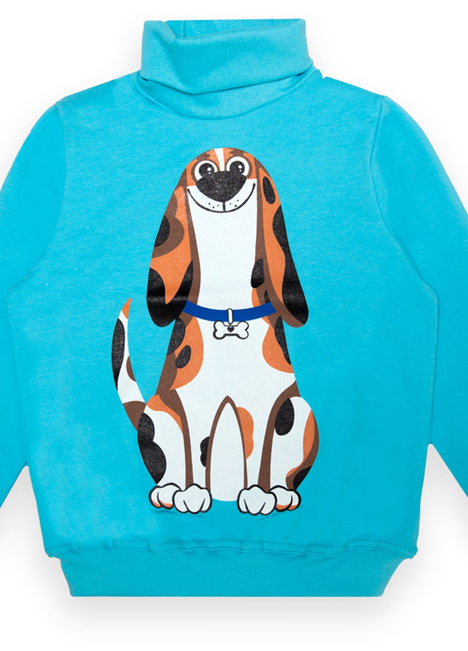 Бірюзовий зимовий дитячий светр для хлопчика sv-22-2-9 Габби