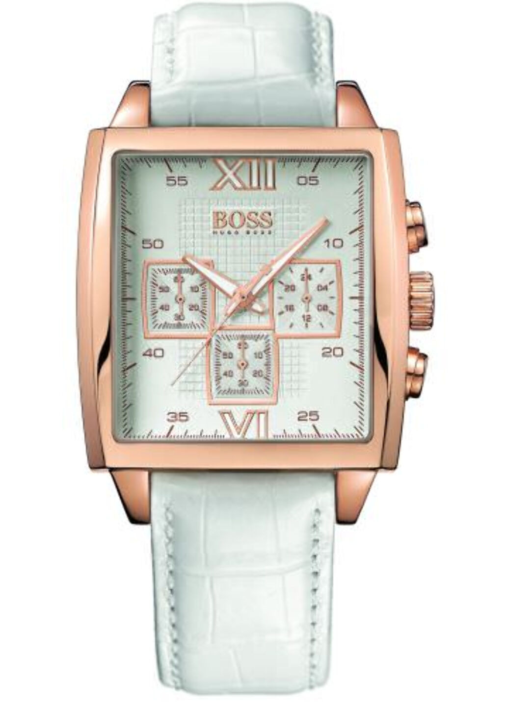 Часы наручные Hugo Boss 1502221 (256646512)