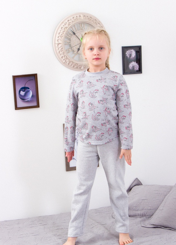 Серая всесезон теплая пижама для девочки 104см котики (персик)+серый носи своє (-024-5-1-v9) Носи своє 6076
