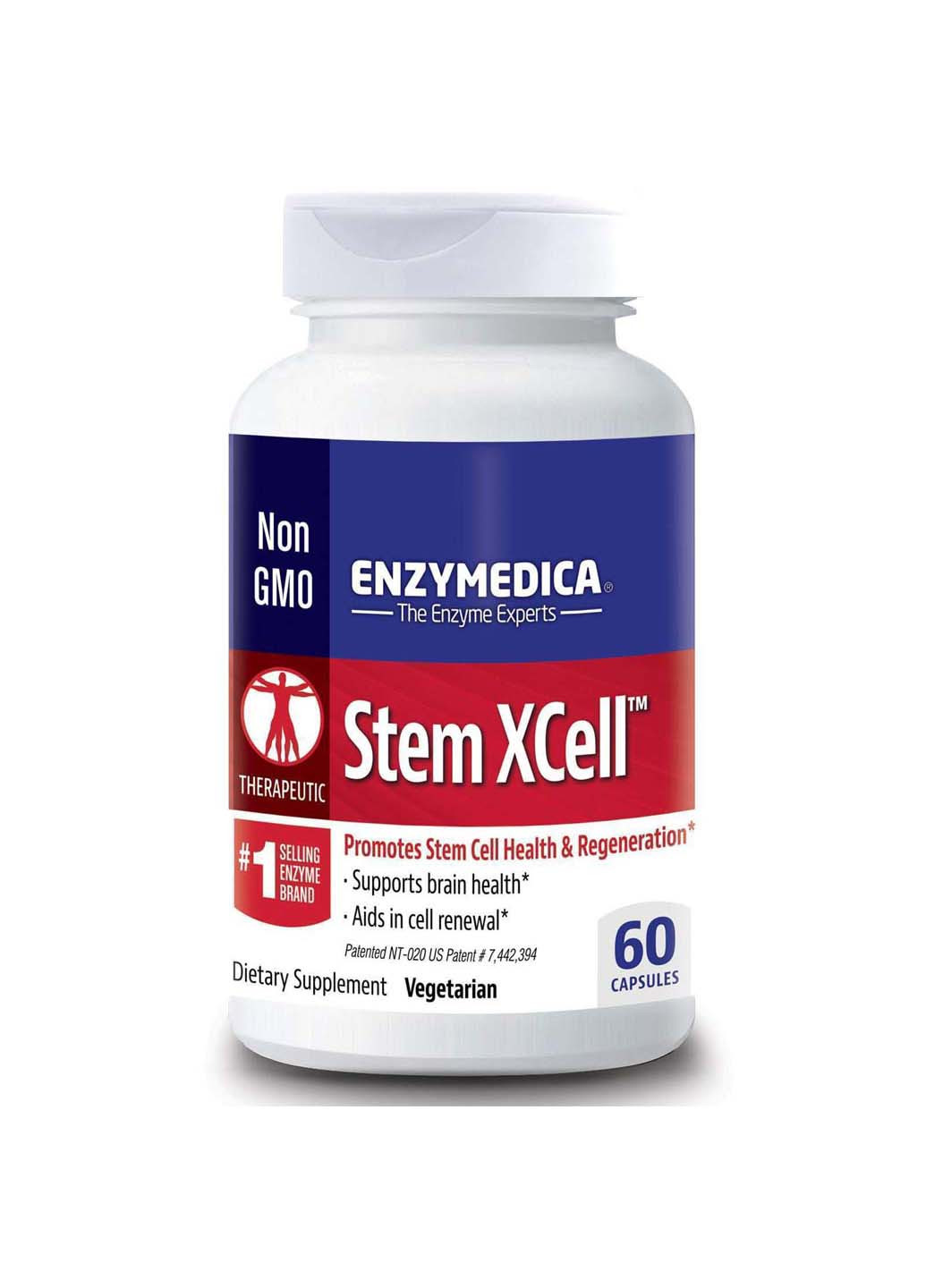Ферменти для мозку Stem XCell 60 капсул Enzymedica (256931928)