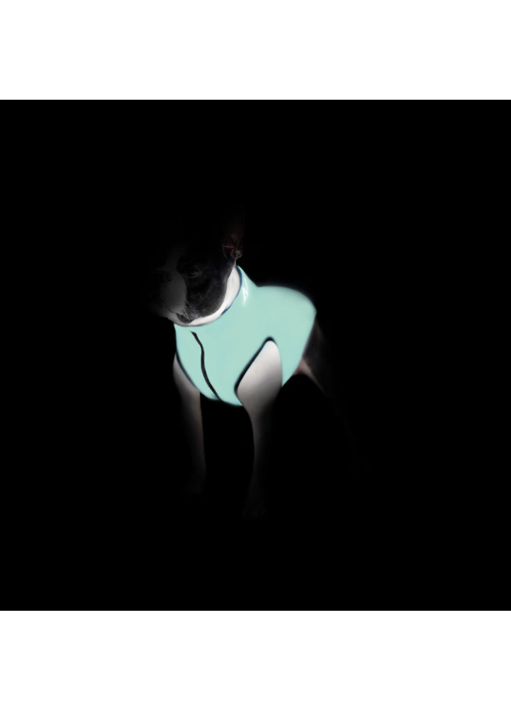 Курточка для собак двостороння, що світиться M40 Airy Vest (257048417)