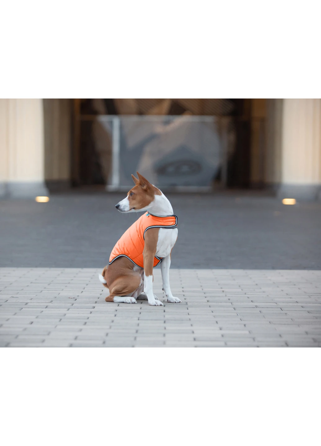 Курточка-накидка для собак S Airy Vest (257051359)
