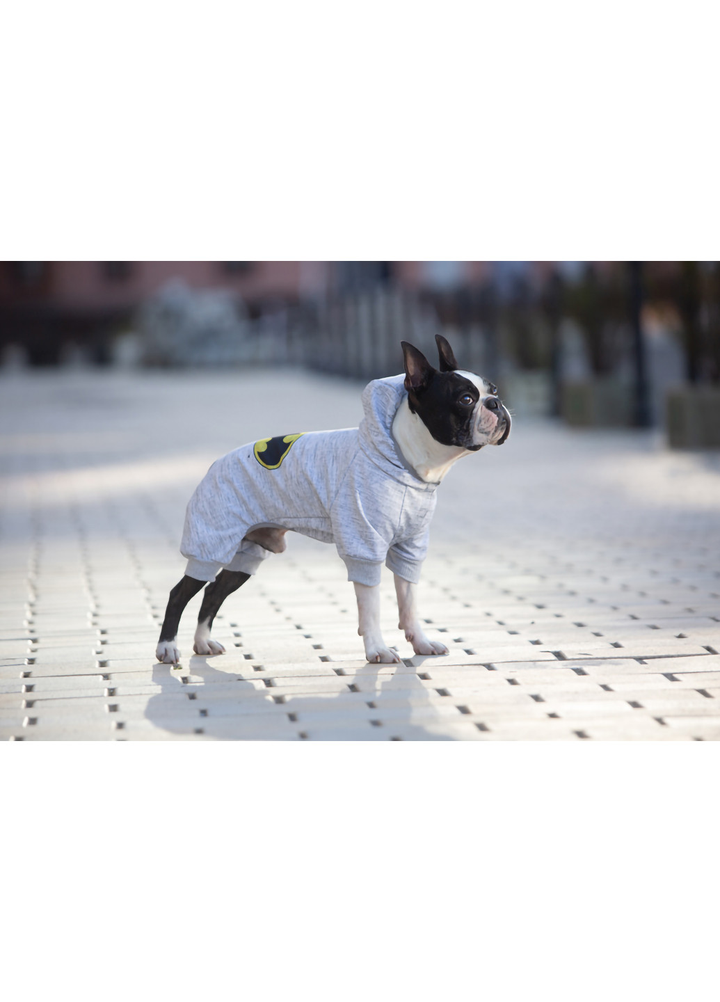 Комбінезон для собак малюнок "Бетмен лого" XS22 WAUDOG (257050265)