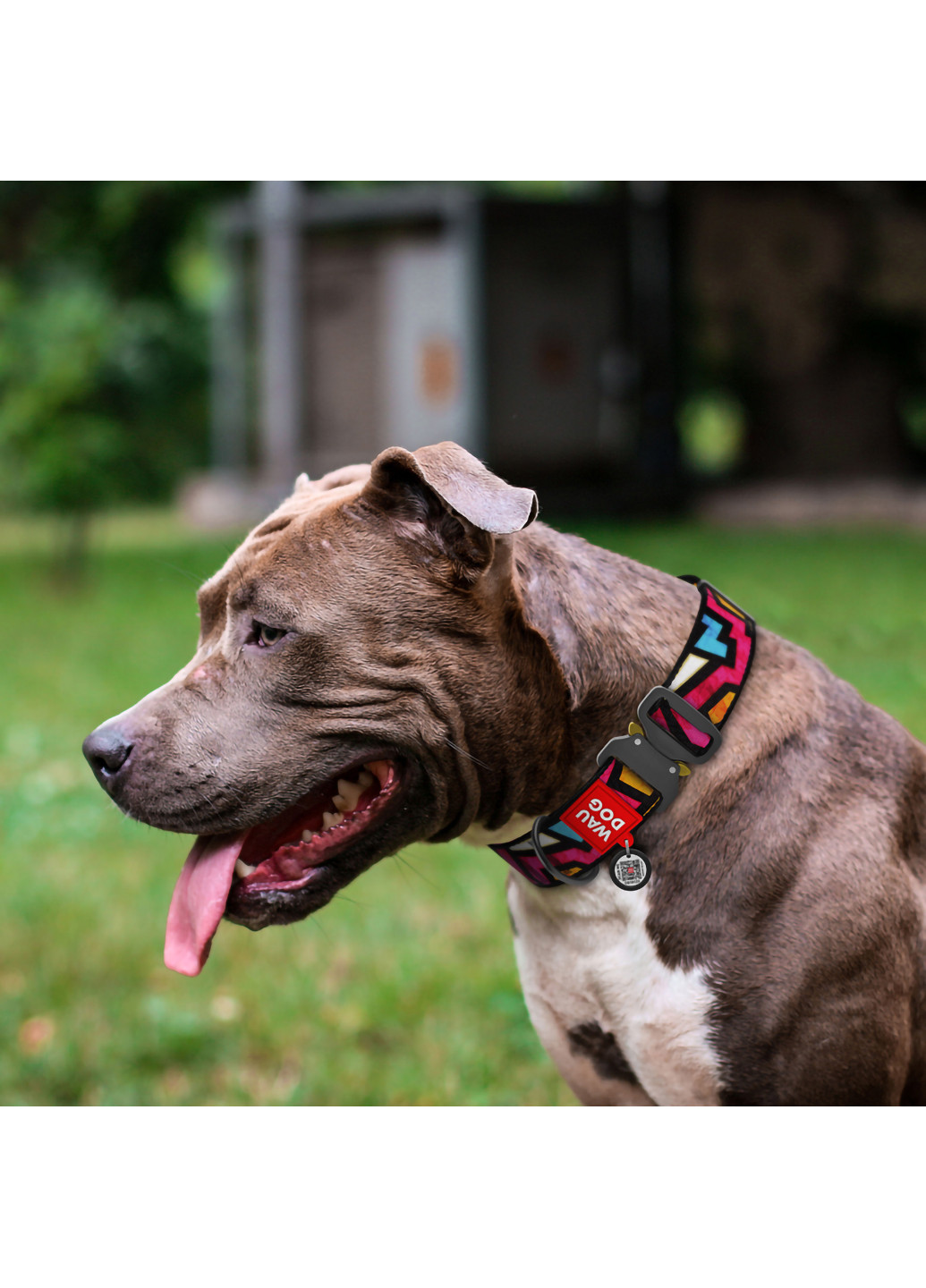 Нашийник для собак нейлоновий з QR паспортом, малюнок "Графіті" XXL WAUDOG (257047190)
