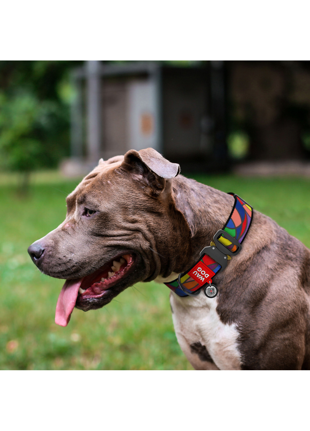 Нашийник для собак нейлоновий з QR паспортом, малюнок "Вітраж" XXL WAUDOG (257045975)