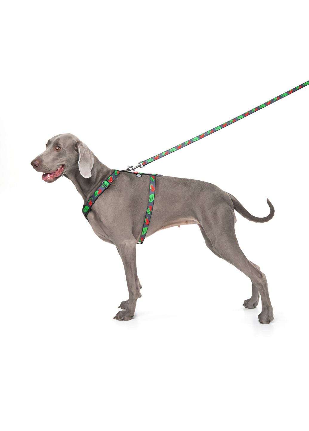 Повідець для собак нейлоновий малюнок "Калина" 122х2 см WAUDOG (257049011)